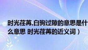 时光荏苒,白驹过隙的意思是什么（白驹过隙 时光荏苒是什么意思 时光荏苒的近义词）