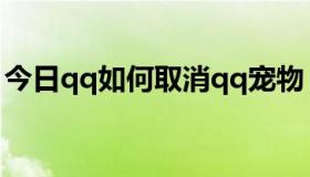 今日qq如何取消qq宠物（如何卸载QQ宠物）