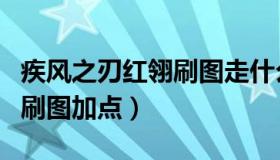 疾风之刃红翎刷图走什么流派（疾风之刃红翎刷图加点）