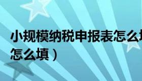 小规模纳税申报表怎么填（小规模纳税申报表怎么填）