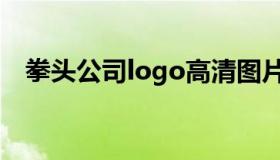 拳头公司logo高清图片（拳头公司logo）