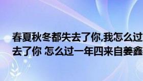 春夏秋冬都失去了你,我怎么过一年四季（歌词 春夏秋冬失去了你 怎么过一年四来自姜鑫阿）