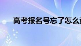 高考报名号忘了怎么查（高考报名号）