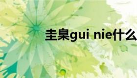 圭臬gui nie什么意思（圭臬）