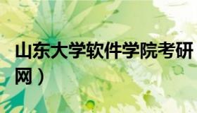 山东大学软件学院考研（山东大学软件学院官网）