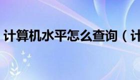 计算机水平怎么查询（计算机水平怎么填写）