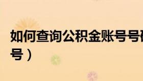 如何查询公积金账号号码（如何查询公积金账号）