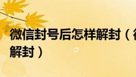 微信封号后怎样解封（微信被封号后如何快速解封）