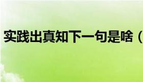 实践出真知下一句是啥（实践出真知下一句）