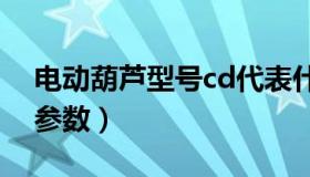 电动葫芦型号cd代表什么（电动葫芦型号及参数）