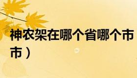 神农架在哪个省哪个市（神农架在哪个省哪个市）