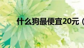 什么狗最便宜20元（什么狗最便宜）