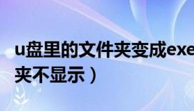 u盘里的文件夹变成exe怎么办（u盘里的文件夹不显示）