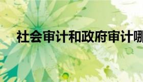 社会审计和政府审计哪个好（社会审计）