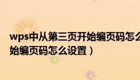 wps中从第三页开始编页码怎么设置（wps页码从第三页开始编页码怎么设置）