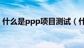 什么是ppp项目测试（什么是ppp项目模式）