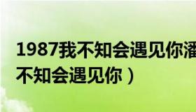 1987我不知会遇见你潘虹李宇春版（1987我不知会遇见你）