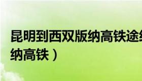 昆明到西双版纳高铁途经站点（昆明到西双版纳高铁）