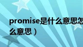 promise是什么意思怎么读（promise是什么意思）