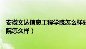 安徽文达信息工程学院怎么样好不好（安徽文达信息工程学院怎么样）