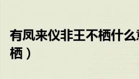 有凤来仪非王不栖什么意思（有凤来仪非梧不栖）