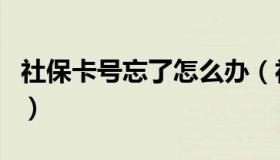 社保卡号忘了怎么办（社保卡号忘了怎么查询）