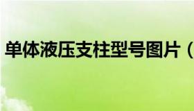 单体液压支柱型号图片（单体液压支柱型号）