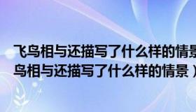 飞鸟相与还描写了什么样的情景抒发了诗人怎样的心情（飞鸟相与还描写了什么样的情景）