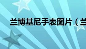 兰博基尼手表图片（兰博基尼手表官网）