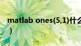 matlab ones(5,1)什么意思（matlab ones）