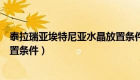 泰拉瑞亚埃特尼亚水晶放置条件（泰拉瑞亚埃特尼亚水晶放置条件）