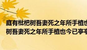 庭有枇杷树吾妻死之年所手植也今已亭亭如盖矣（庭有枇杷树吾妻死之年所手植也今已亭亭如盖矣）