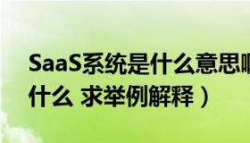 SaaS系统是什么意思啊（SAAS系统到底是什么 求举例解释）