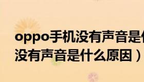 oppo手机没有声音是什么原因（oppo手机没有声音是什么原因）