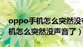 oppo手机怎么突然没有声音了呢（oppo手机怎么突然没声音了）