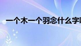 一个木一个羽念什么字啊（一个木一个辛）