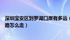 深圳宝安区到罗湖口岸有多远（从宝安到罗湖出入境沿河北路怎么走）