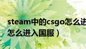 steam中的csgo怎么进入（steam中的csgo怎么进入国服）