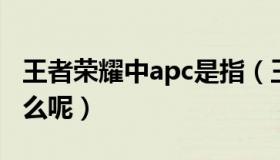 王者荣耀中apc是指（王者荣耀中APC是指什么呢）