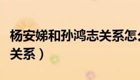 杨安娣和孙鸿志关系怎么样（杨安娣和孙鸿志关系）