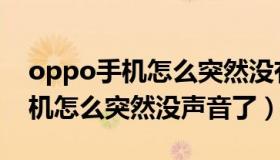 oppo手机怎么突然没有声音了呢（oppo手机怎么突然没声音了）