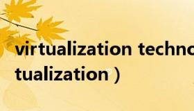 virtualization technology是什么意思（virtualization）