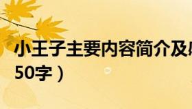 小王子主要内容简介及感悟（小王子主要内容50字）