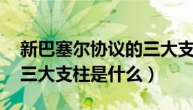 新巴塞尔协议的三大支柱（新巴塞尔协议 的三大支柱是什么）