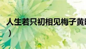 人生若只初相见梅子黄时雨（人生若只初相见）