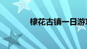 棣花古镇一日游攻略（棣花）