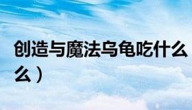 创造与魔法乌龟吃什么（创造与魔法乌龟吃什么）