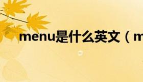 menu是什么英文（menu是什么按键）