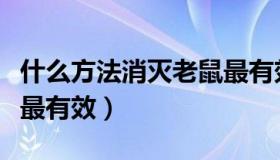 什么方法消灭老鼠最有效（什么方法消灭老鼠最有效）