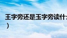 王字旁还是玉字旁读什么（王字旁还是玉字旁）